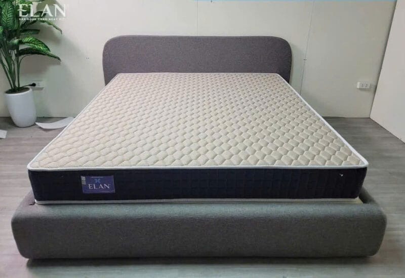 Đệm lò xo cối ELAN - 23cm