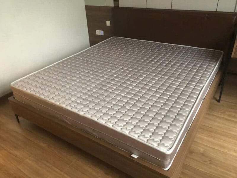 Đệm bông ép chần foam SEE 2 mảnh - ELAN